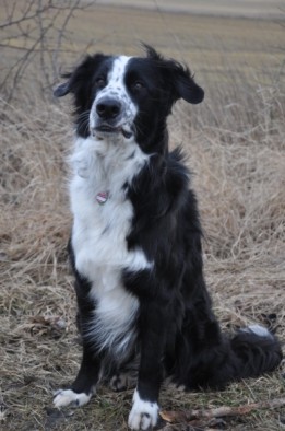 ben